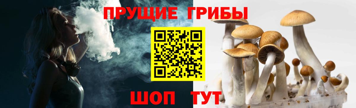Псилоцибиновые грибы MAGIC MUSHROOMS  Псилоцибиновые грибы прущие грибы  Верхний Уфалей  Вход с VPN 